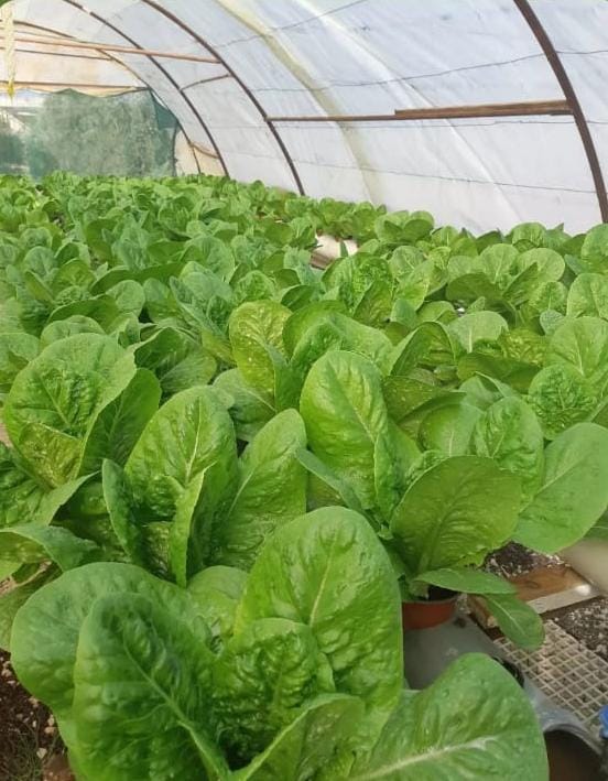 صورة 1