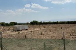 New_Project_(10)