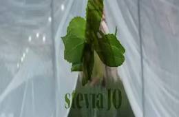New_Project_(18)